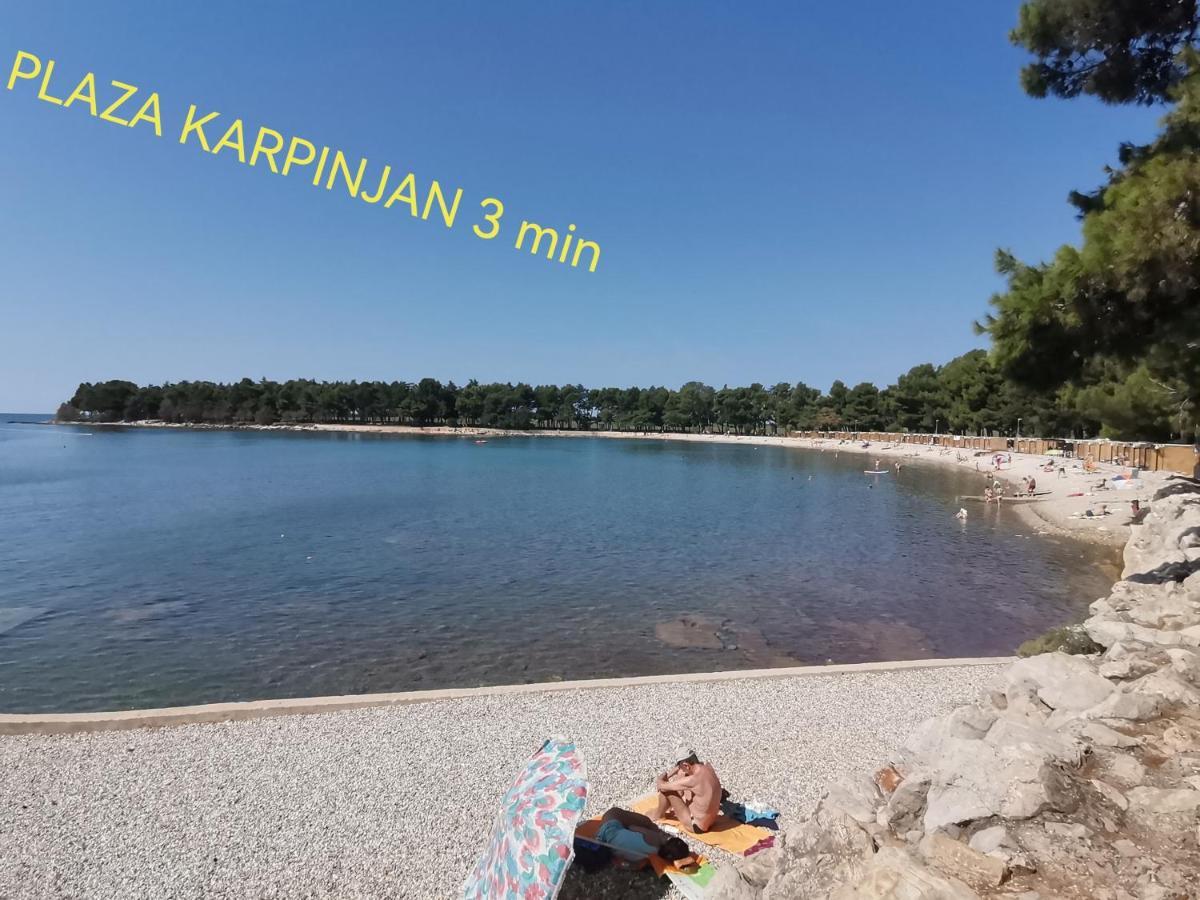 Apartman Hola Novigrad  Ngoại thất bức ảnh