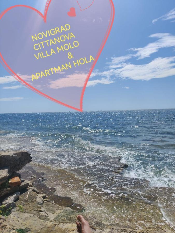 Apartman Hola Novigrad  Ngoại thất bức ảnh